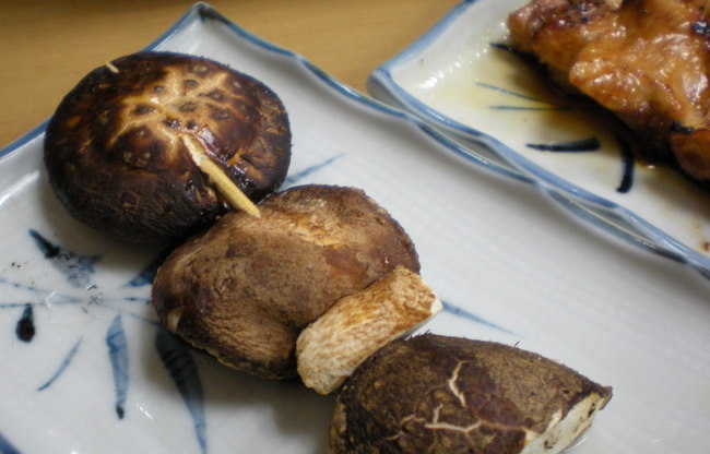 Grilled fresh shiitake mushrooms