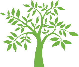 Kiva Logo - Tree